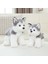 40CM Sevimli Köpek Yavrusu Husky Peluş Oyuncak (Yurt Dışından) 3