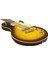 Pro Iı PE590STDAGTS Elektro Gitar 3