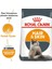 Hair Skin Kedi Maması 2kg 5