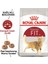 Fit Kedi Maması 400GR 1