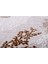 Almoss Mocca Klasik 5135T Krem-Terra Makine Halısı 4