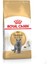 British Shorthair Kedi Maması 2 kg 1