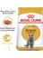 British Shorthair Kedi Maması 2 kg 2