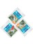 Avida Duo 36 Mi x Tahılsız Köpek Ödül Çubuk Sticks 12 x Kuzu Etli 24 x Tavuk 1
