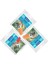 Avida Duo 36 Mi x Tahılsız Köpek Ödül Çubuk Sticks 12 x Kuzu Etli 24 x Balık 1