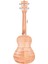 AU77LAB-21 Soprano Ukulele 2
