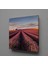 Pembe Çiçek Tarlası Kanvas Tablo 25X25CM 1