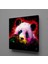 Panda Kanvas Tablo 200X200CM 1