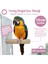 Venty 15 cm Doğal Ahşap Papağan Tüneği | Ø 36 mm | Macaw, Kakadu, Jako, Amazon, Alexander, Kayık, Eklektus - Büyük Irklar İçin 1