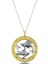 Gümüş Gold Balık Burcu Kolye 1