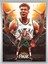 Giannis Antetokounmpo Poster 45X60CM Nba Basketbol Afiş - Kalın Poster Kağıdı Dijital Baskı 2