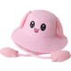  Renk Pembe