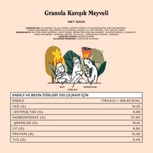 The Good Wild Glütensiz, Şeker İlavesiz Granola Karışık Meyveli 300 G