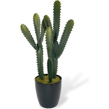 Nettenevime Yapay Çiçek Kaktüs Ağacı 3köşeli 3boy Siyah Saksıda 70*30CM SK4020