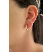 Fiyonk Kuyumculuk Kuyumculuk  14 Ayar Altın Bal Peteği Halka Küpe Büyük