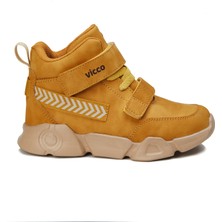 Vicco Patik Phylon Bot  Camel