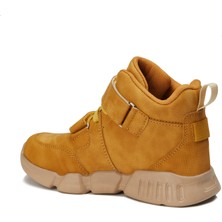 Vicco Patik Phylon Bot  Camel