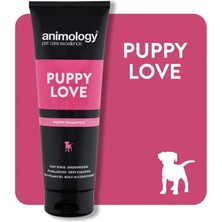 Animology Puppy Love