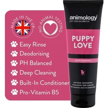 Animology Puppy Love