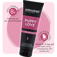 Animology Puppy Love