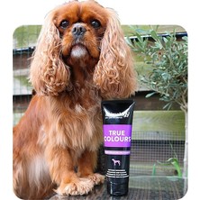 Animology True Color Köpek Şampuanı 250 Ml
