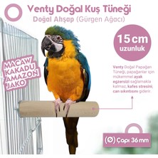 Vixpet Venty 4'lü Doğal Ahşap Papağan Tüneği 15 cm - Çapı 36 mm Macaw | Kakadu | Jako | Amazon | İskender | Kafes Tünekleri