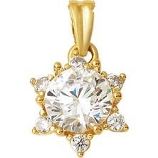 Bilezikci 14 Ayar Hanımeli Tek Taş Kolye Ucu