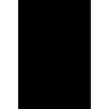 Apple iPhone 11 Pro Kamera Lens Koruyucu Kolay Takma Aparatlı Çözünürlük Bozmayan Lens Koruma