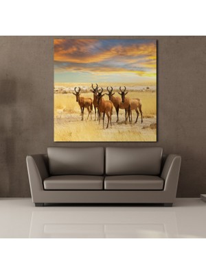 Technopa GEYİKLER KANVAS TABLO - 150x150cm
