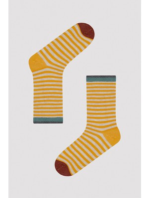 Çizgili 5li Soket Çorap