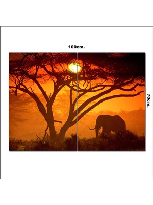 Bedeko Ahşap Tablo Afrika ve Fil  70*100CM