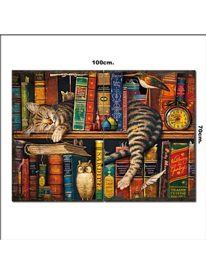 Bedeko Ahşap Tablo Kitaplık Baykuş Kedi Baskılı 70*100CM