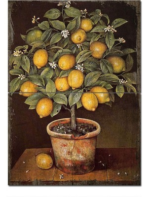 Bedeko Ahşap Tablo Saksıda Limon Ağacı Tasarım Ahşap Tablo