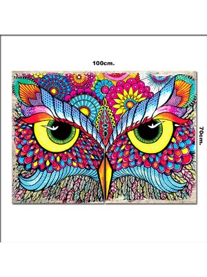Bedeko Ahşap Tablo Renkli Baykuş Gözü  70*100CM
