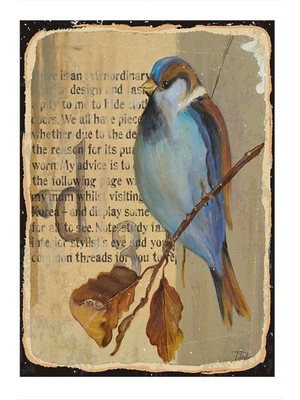 Bedeko Sevimli Kuş Art Mdf Poster