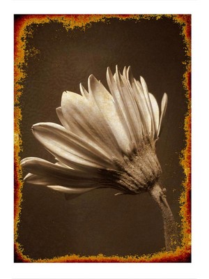 Bedeko Kahverengi Tonlarında Çiçek Mdf Tablo