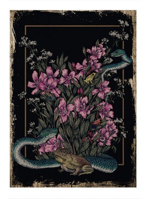 Bedeko Yılanlar ve Kurbağalar Model Ahşap Tablo