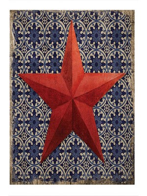Bedeko Kırmızı Deniz Yıldızı Tasarım Mdf Tablo