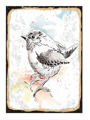 Bedeko   karakalem Kuş Model Mdf Tablo