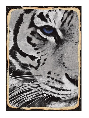 Bedeko Kaplan Desenli Ahşap Tablo