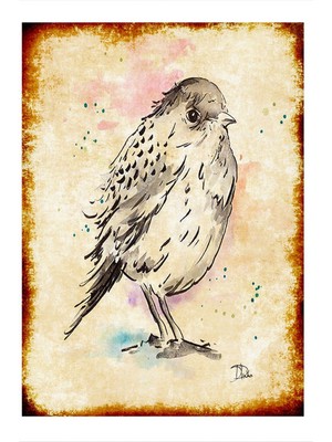 Bedeko  siyah Beyaz Kuş Desenli Mdf Tablo