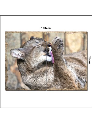 Bedeko Ahşap Tablo Puma Kendini   70*100CM