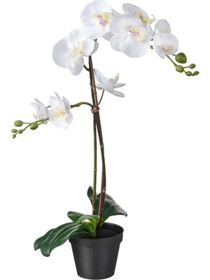 IKEA Yapay Saksılı Beyaz Orkide, Meridyendukkan 12 cm Ev-Bahçe Dekorasyonu