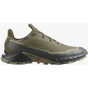 Alphacross 5 Gore-Tex Erkek Koşu Ayakkabısı - Yeşil