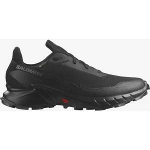 Alphacross 5 Gore-Tex Erkek Koşu Ayakkabısı - Siyah