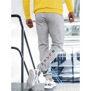 Relax Family Xf Erkek Yazlık Gri Eşofman Altı Pamuklu  Baskılı Dar Paça Jogger