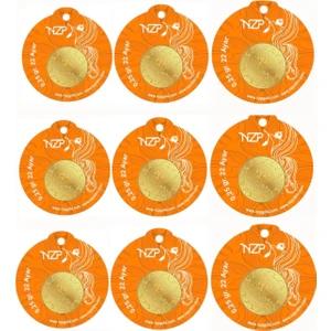 NZP Gold 0.25 Gram Altın - 9 Adet