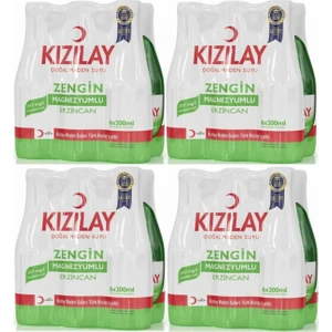 Maden Suyu (Erzincan) Zengin Magnezyumlu 200 ml x 24 Adet