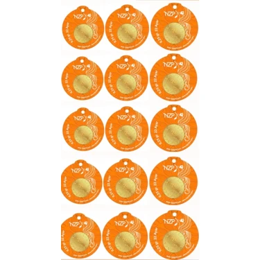 NZP Gold 0.25 Gram Altın - 15 Adet Fiyatı - Taksit Seçenekleri