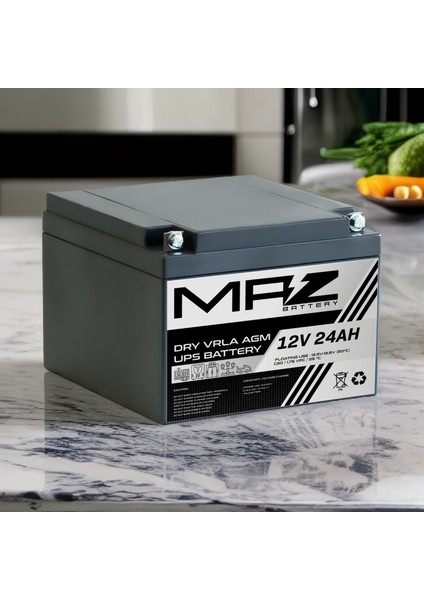 12 Volt 24 Amper (Ah) Kuru Agm Vrla Akü (Yeni Üretim)